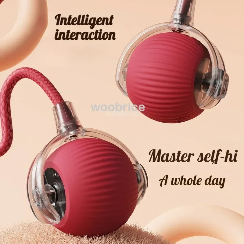 Spielzeug Automatischer Rollender Katzenball