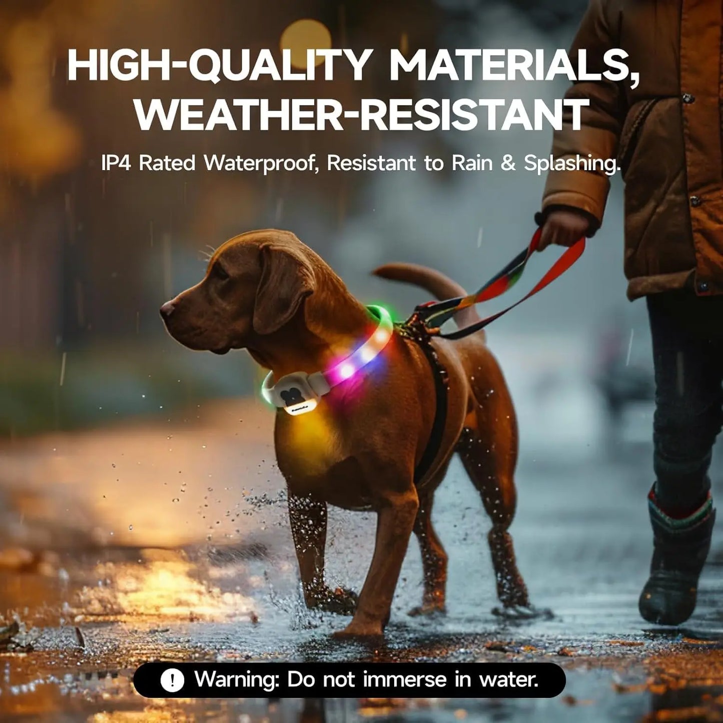 Light Up Dog Collar LED with USB Rechargeable Glow